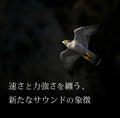 ACOUSTUNE HSX1001(M01) 可換模組/腔體真無線藍牙耳機