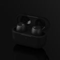 Final Audio ZE3000 SV 真無線藍牙耳機