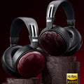 FiiO FT13