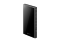 Sony NW-A306 便攜高清音樂播放器