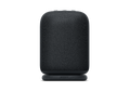 SONY LinkBuds Speaker