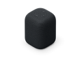 SONY LinkBuds Speaker