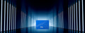 Netac N600S 2.5 吋 SATA SSD