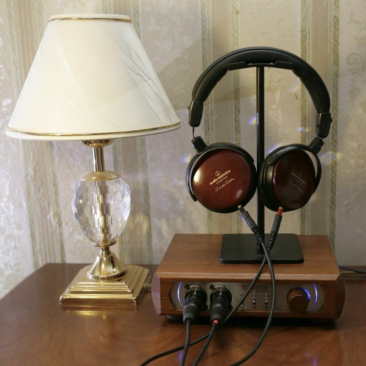 Audio-Technica ATH-ESW11LTD 頭戴式胡桃木耳機 細節 2 產品圖片