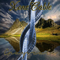 XOne Cable 灰度